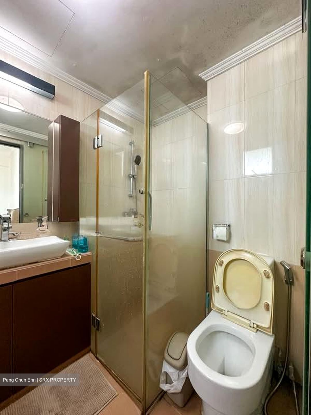 Springdale Condominium (D21), Condominium #576726191